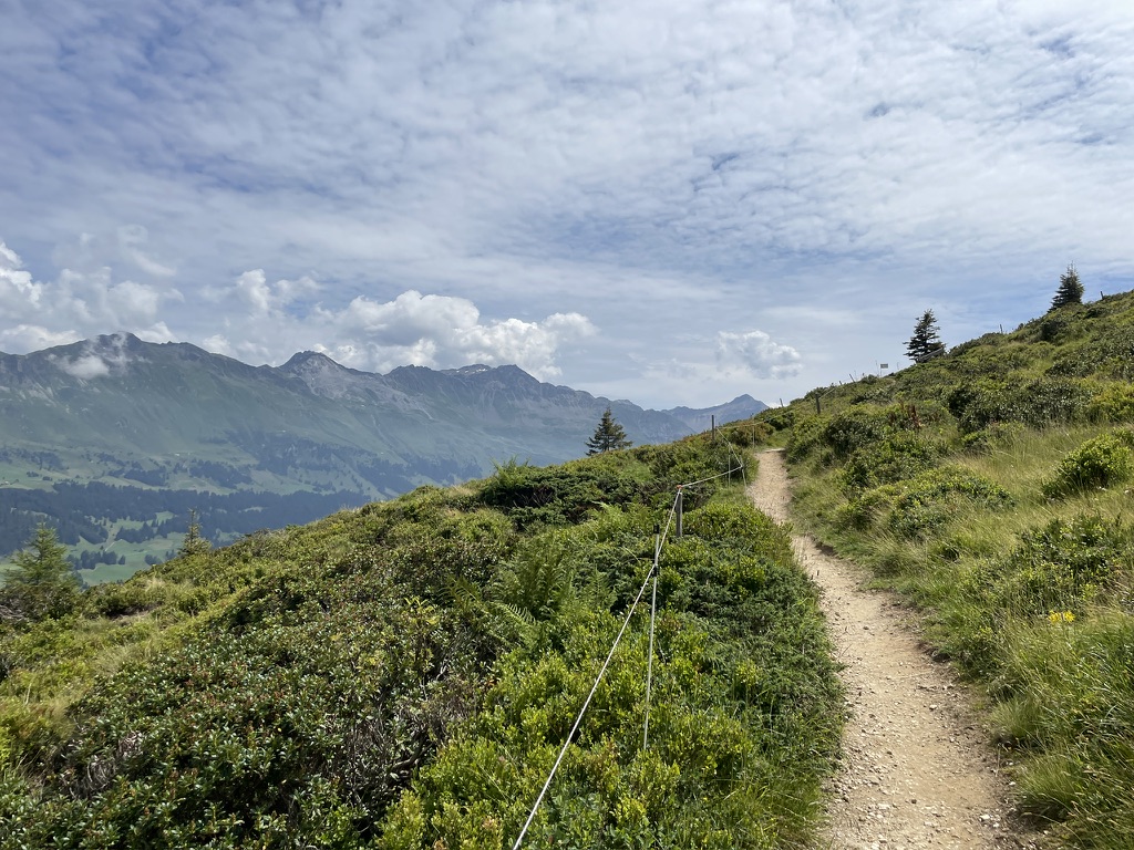 Das Gelände ist offen und weitläufig.
