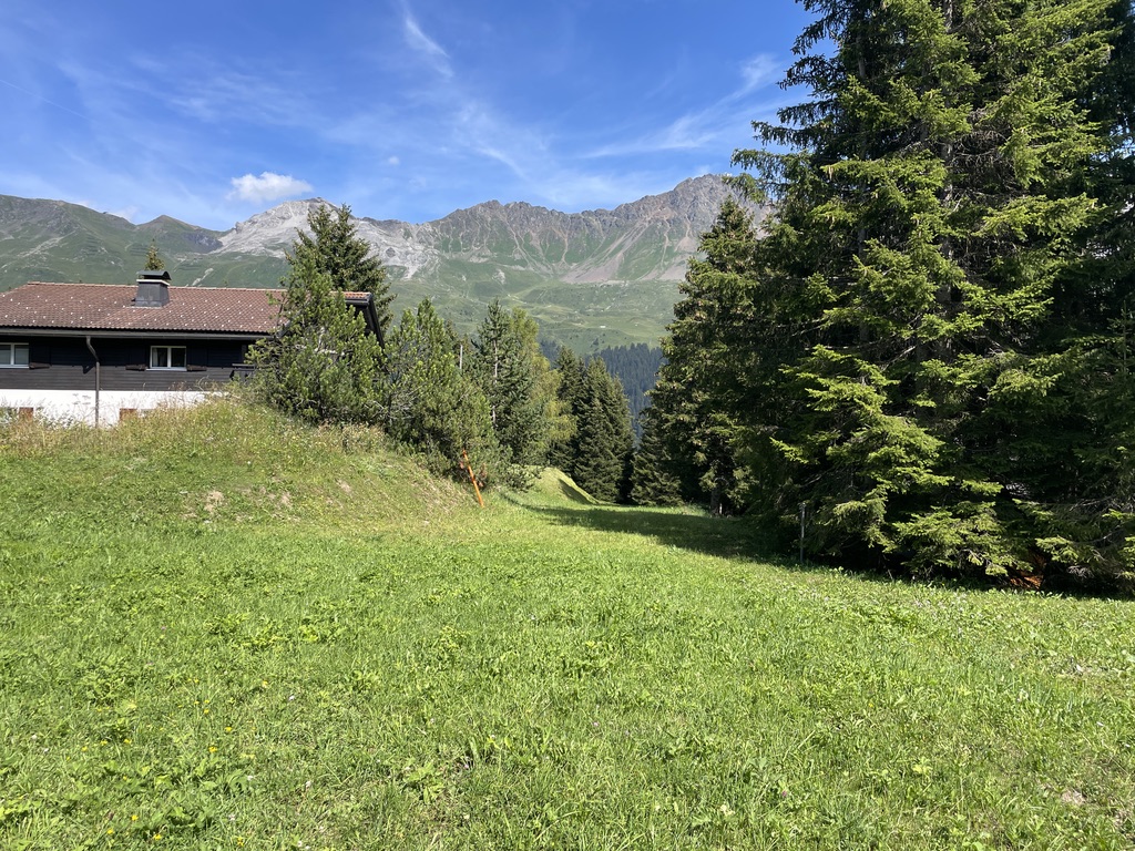 Die Wanderung führt durch Sartons, einen Ortsteil von Valbella. Durch diese Schneise...