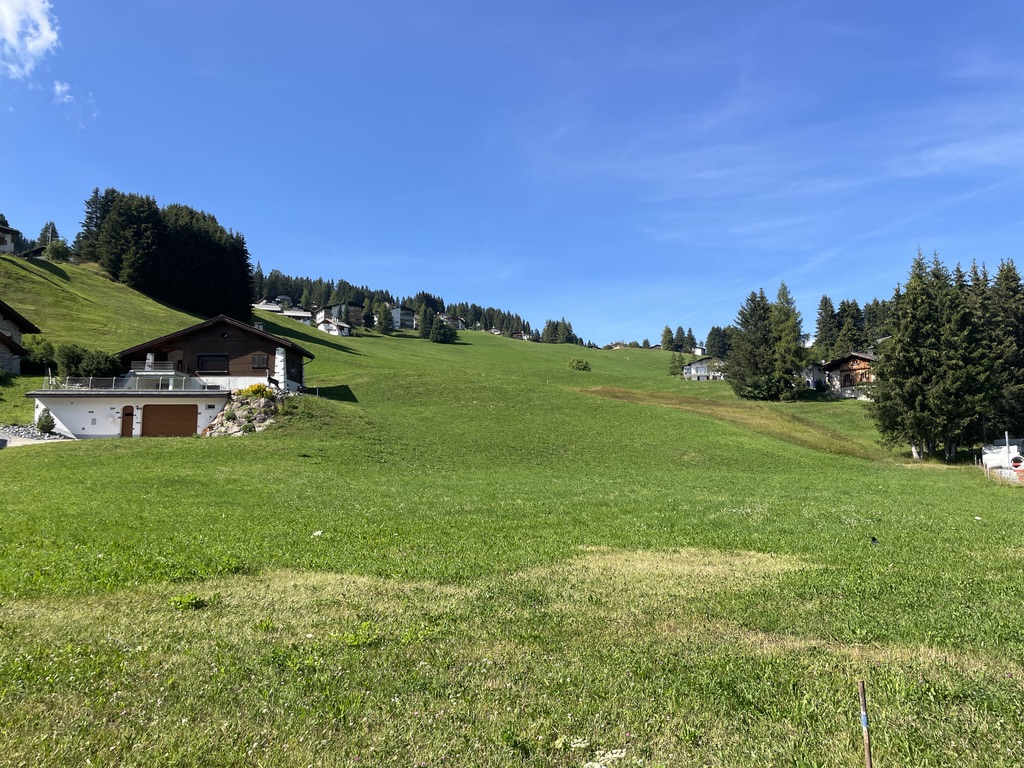 Schlusshang der Talabfahrt nach Valbella, von unten fotografiert.