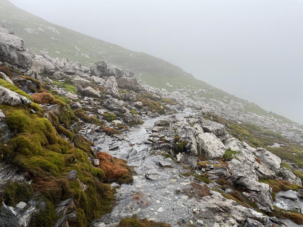 Bach und Weg zugleich