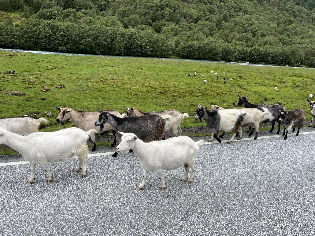 Der Stopp war nicht ganz freiwillig