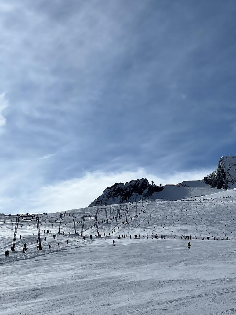 Stangenwald am Daunferner