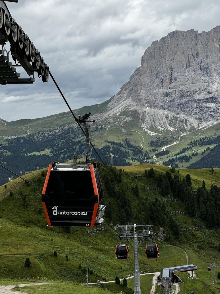 Wieder zurück zum Dantercepies