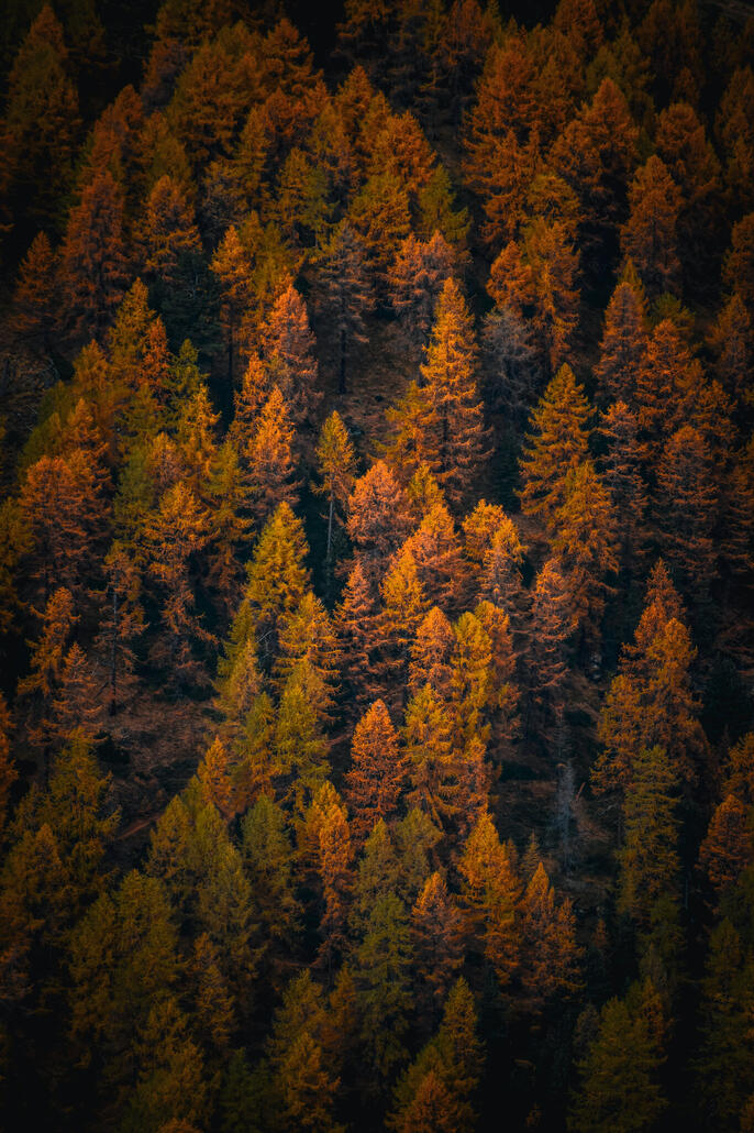 wunderschönes lichtspiel