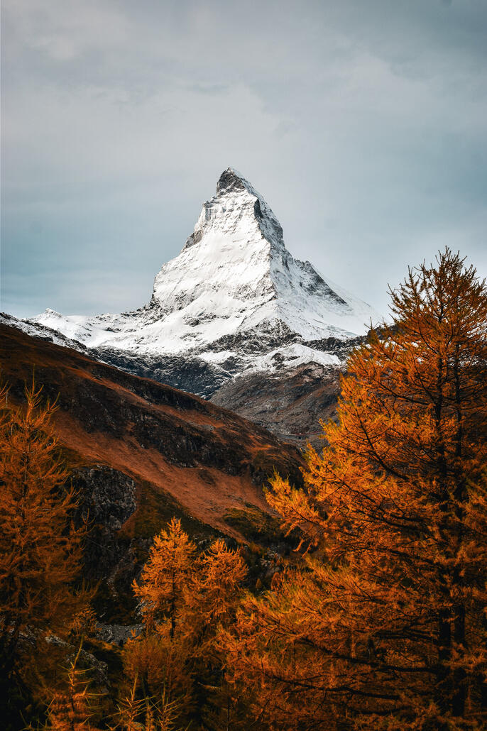 die baumgrenze wird erreicht