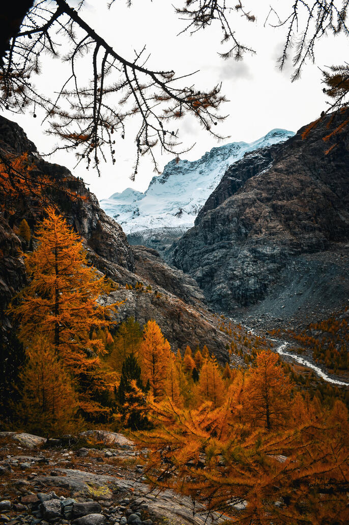 Blick ins Gorner Gletschertor