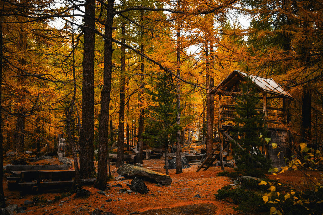 am gletschergarten spielplatz