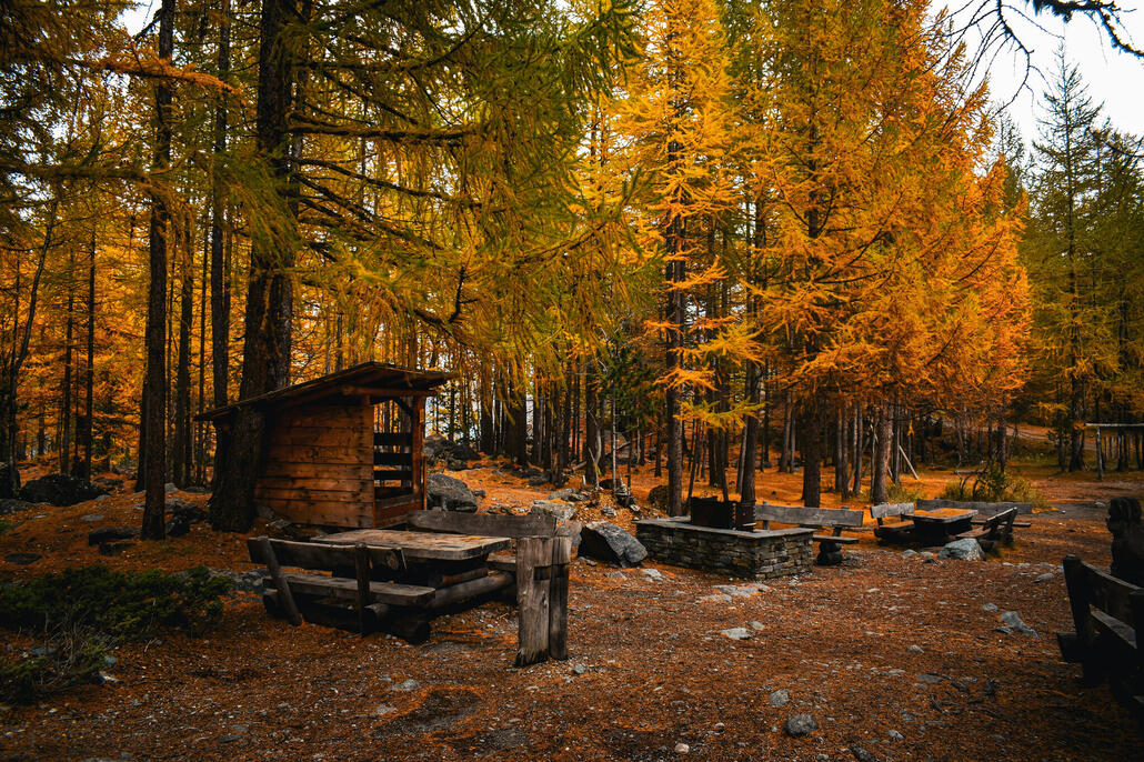 hier hatten wir schon tolle partys bis spät in den morgen