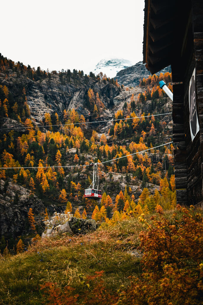 auf der terrasse im furri
