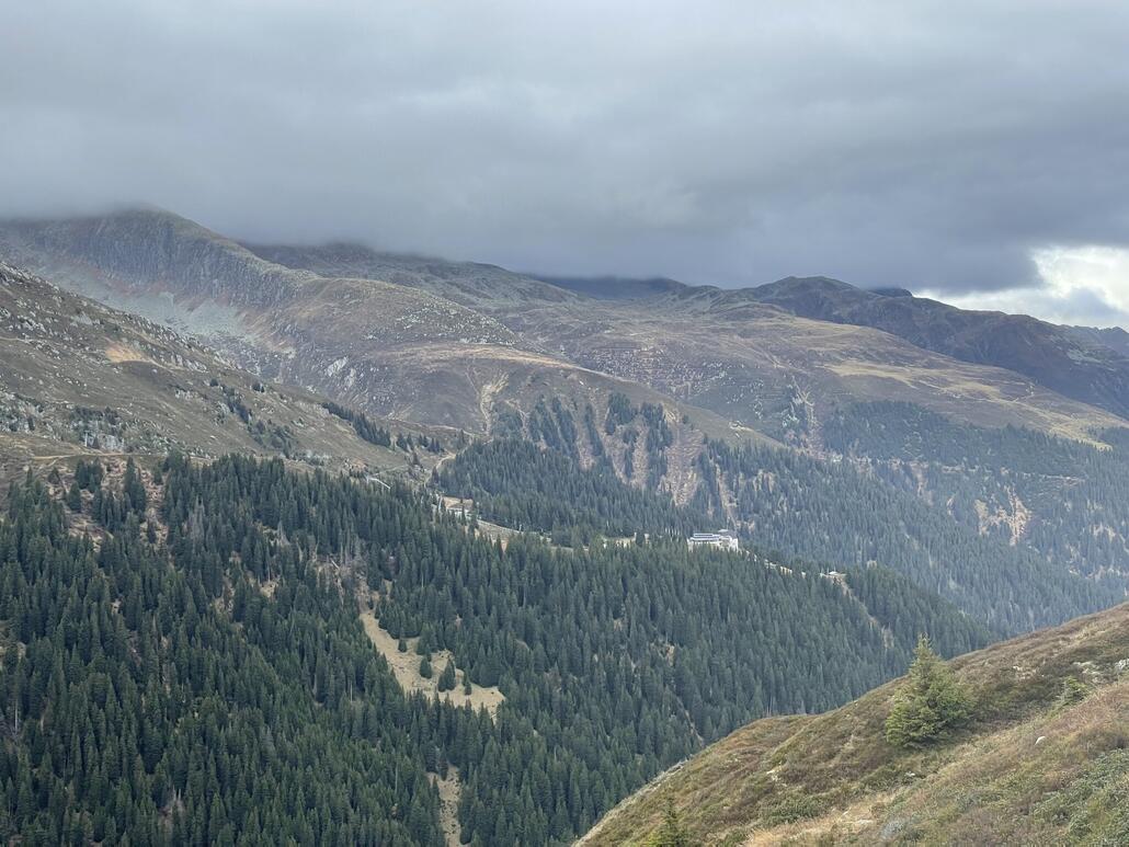 Mit einiger Waldrodung verbunden…