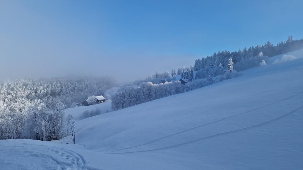 20240112_100033.jpg (337.01 KiB) 1221 mal betrachtet Blick von der hintersten Piste auf das obere Skiareal, das durch einen einzigen Skilift erschlossen wird und sich bis zum letzten sichtbaren Haus erstreckt.