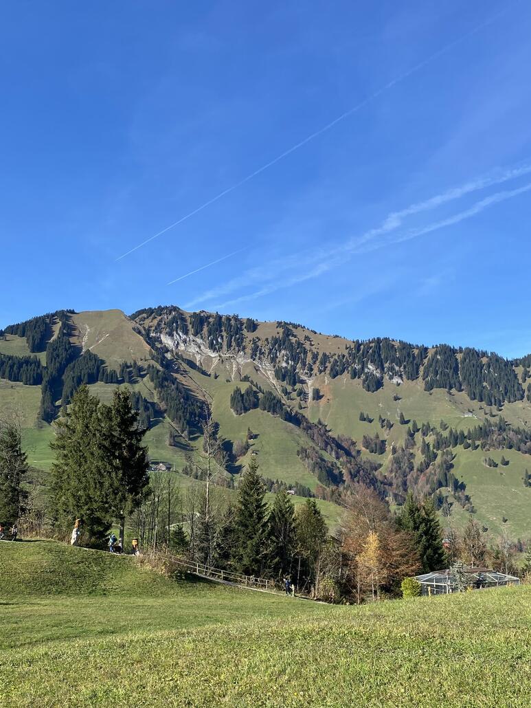 Blick rüber aufs Stanserhorn. Es ist mit dem Wirzwelli durch einen Wanderweg verbunden