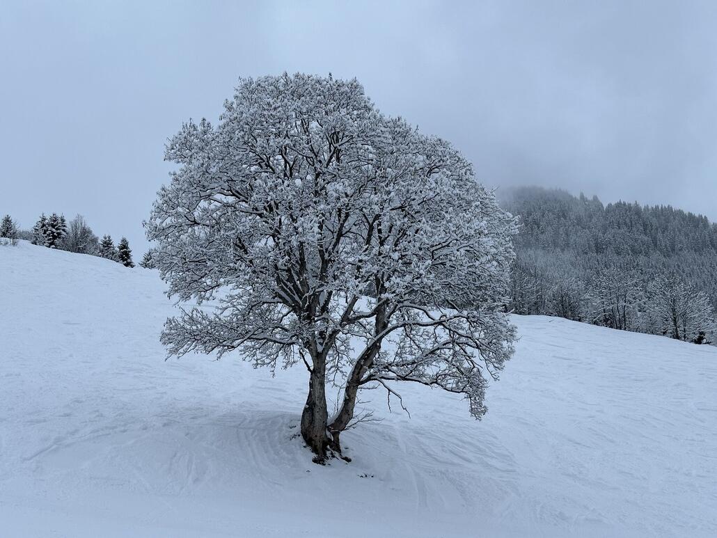 Das sorgte für tolle Winterbilder!