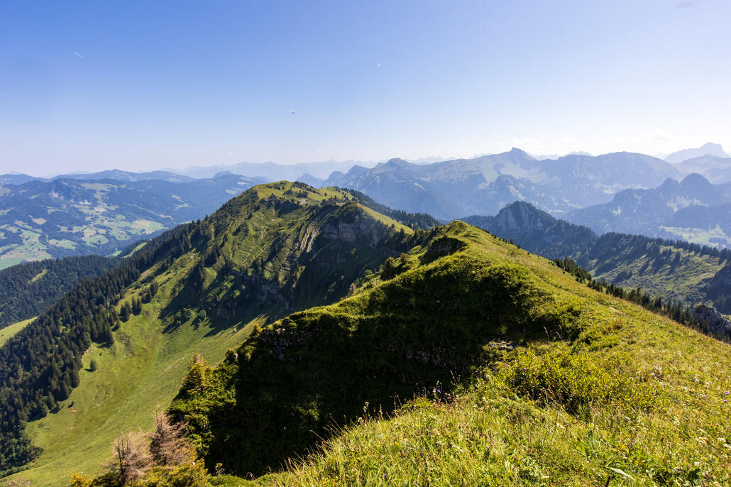 Winderstaude 046-1.jpeg