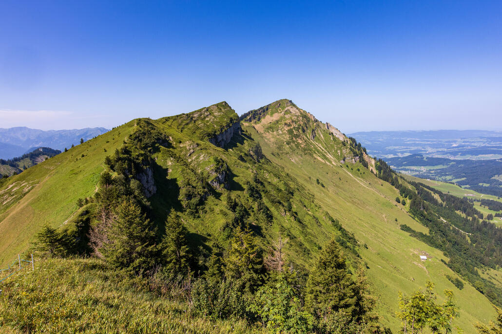 Winderstaude 036-1.jpeg