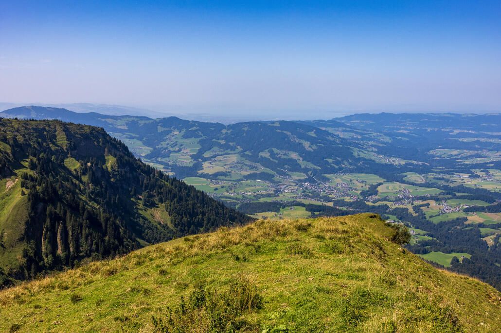 Winderstaude 068-1.jpeg