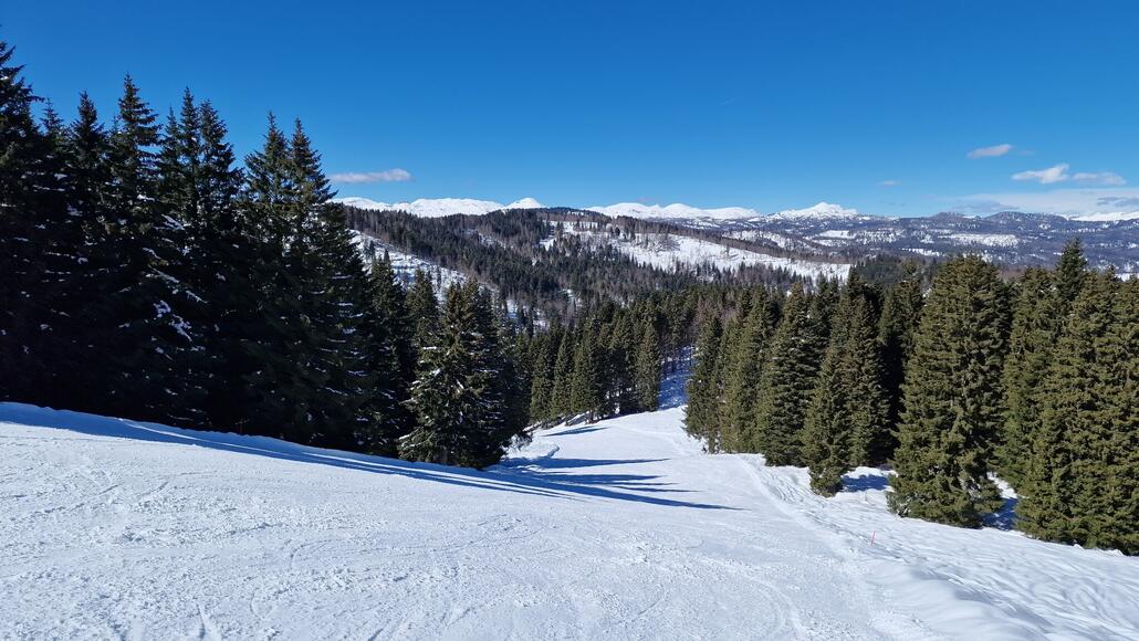 Eine weitere Abfahrt, die von der Sesselbahn Davanti erschlossen wird, führt in nördlicher Richtung durch den Wald zur Sesselbahn Meletta di Gallio.