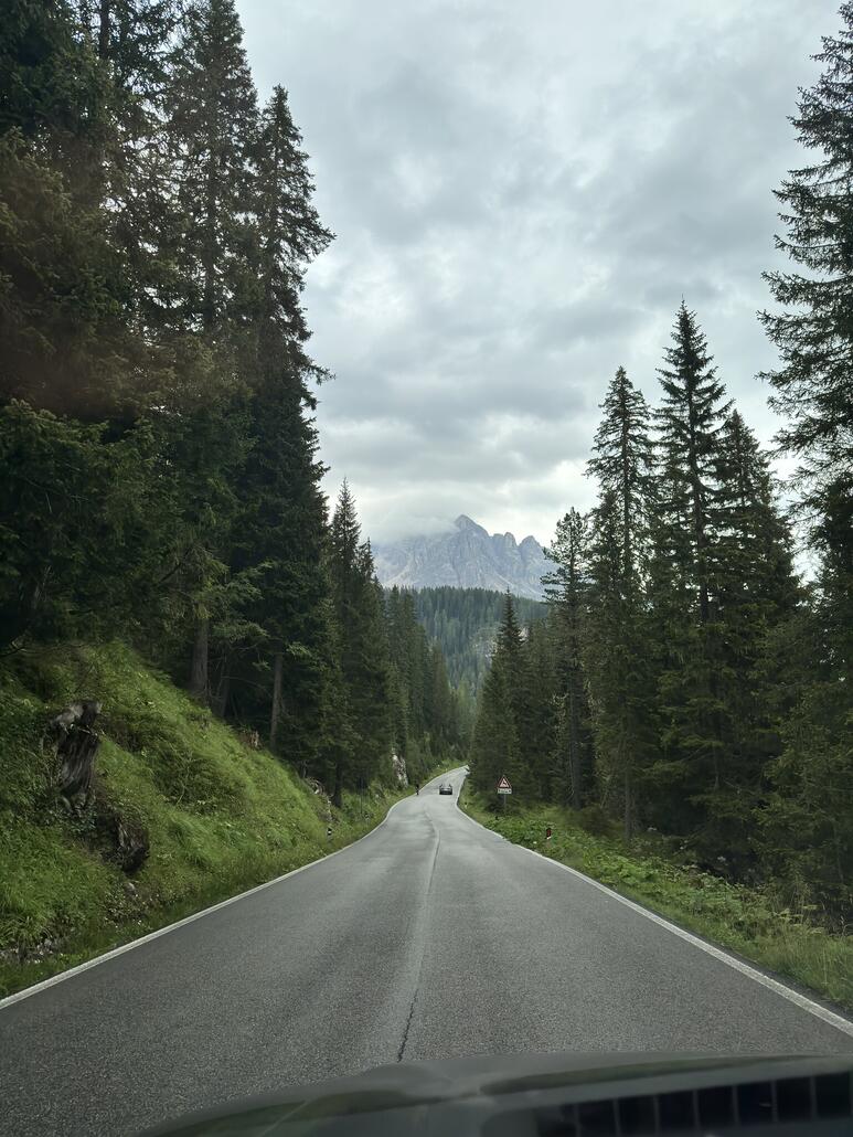 Runter durch endlose Wälder...