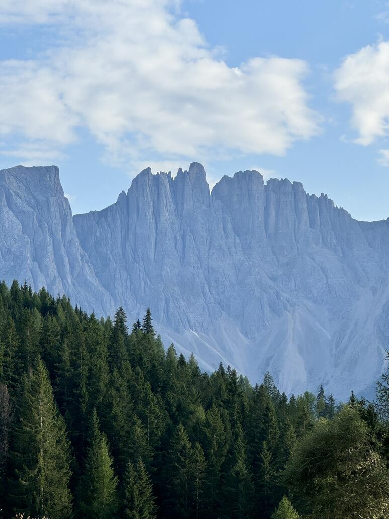 Dann geniessen wir den Moment und den Ausblick auf den Latemar