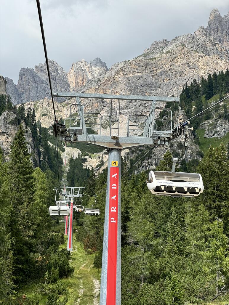 Durch den Lichten Wald