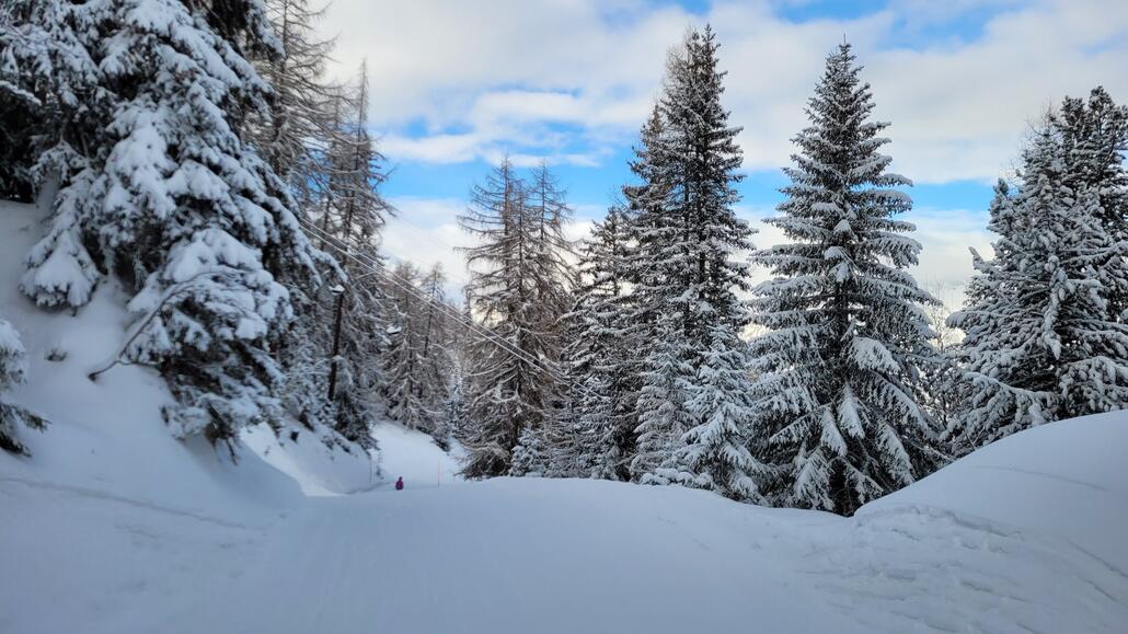 Kurzes Flachstück durch den Wald