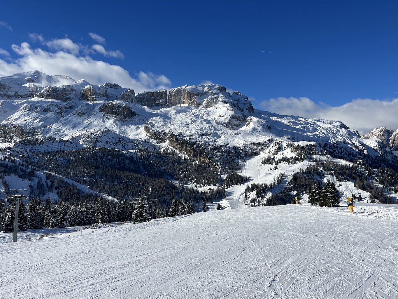 2023-12-15 13.12.17.jpg