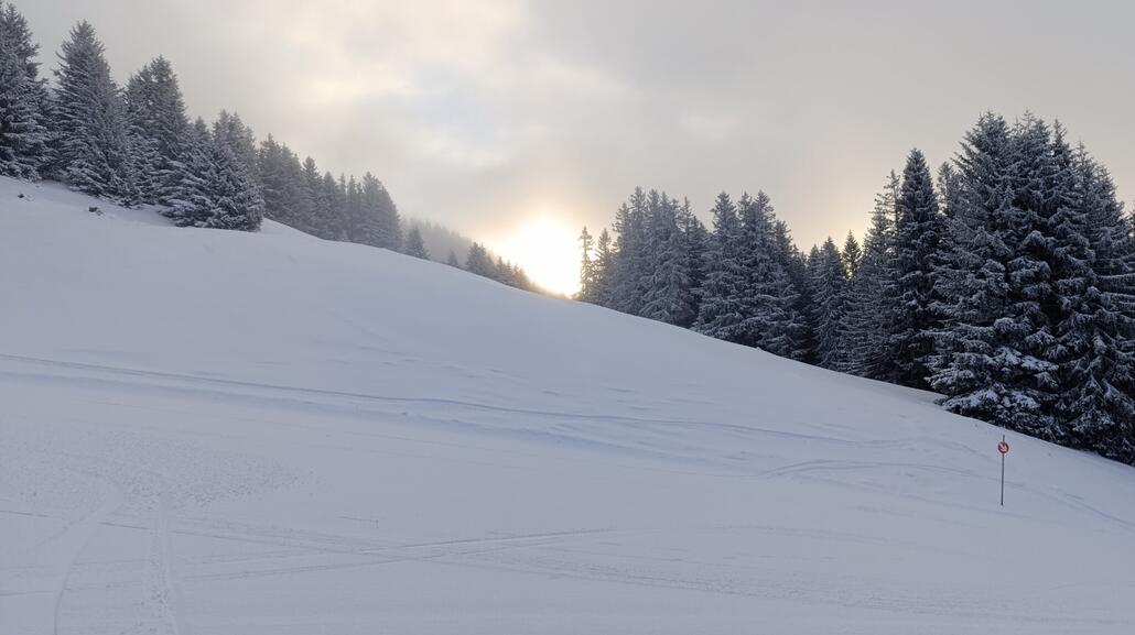 Sonne durch die Schneise