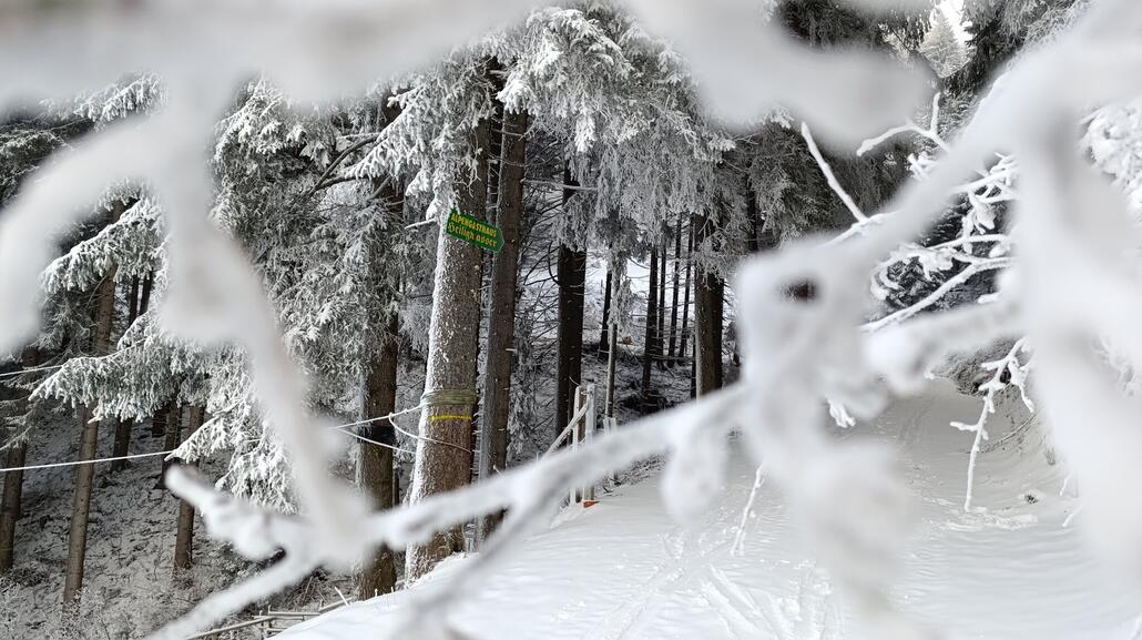 Noch eine Abzweigung. Hier müsste man Bergauf gehen.