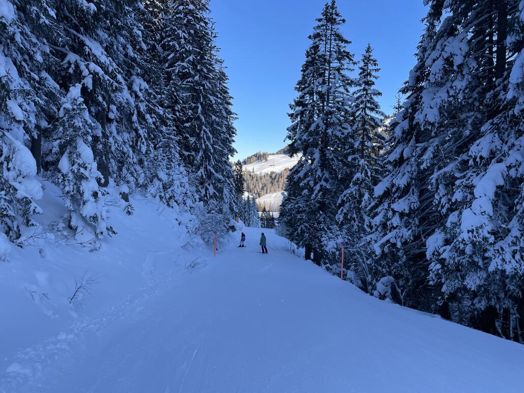 Die Talabfahrt nach Churwalden ausgezeichnet, die verschneiten Bäume sorgten zudem für eine schöne Stimmung.