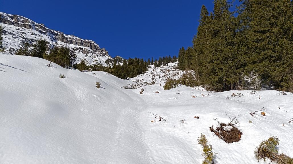 Ausholzung nach weiter oben