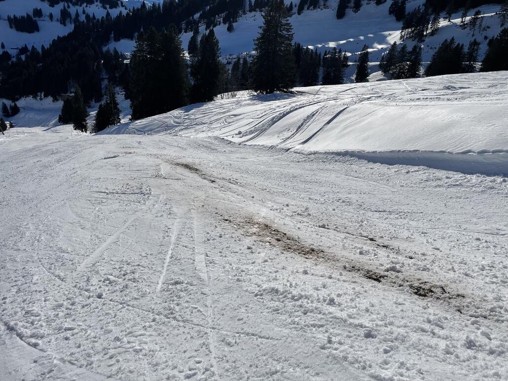 Braune Stellen kann man umfahren