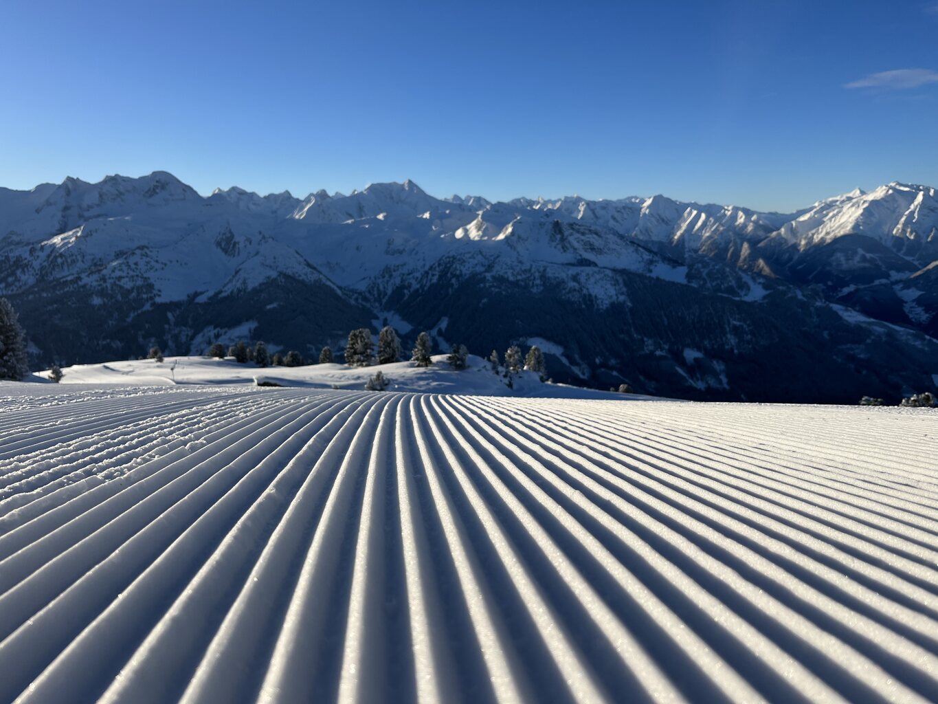 2023-12-16 08.55.43.jpg