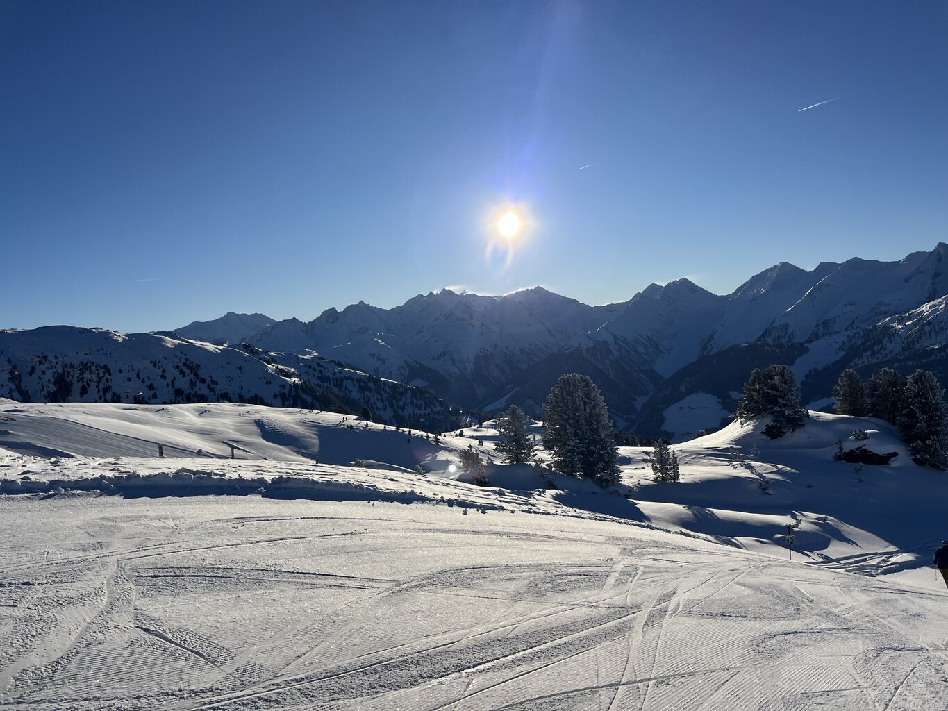 2023-12-16 09.08.53.jpg