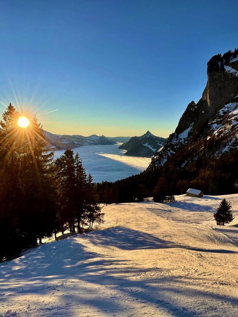 Was gibts schöners!