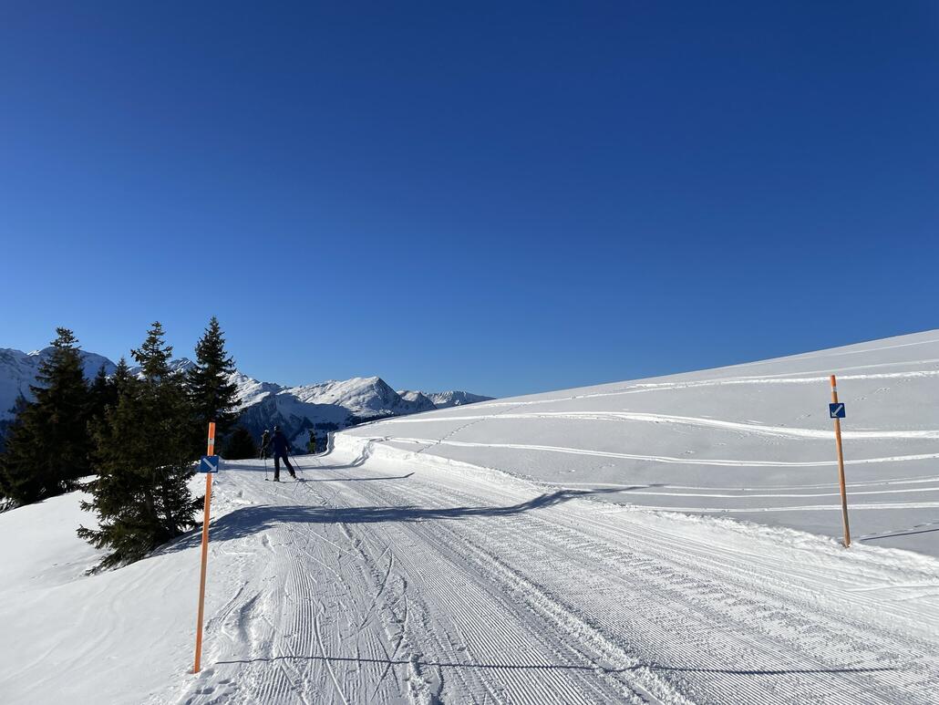 ...mündet aber bald in einem äusserst flachen Ziehweg.