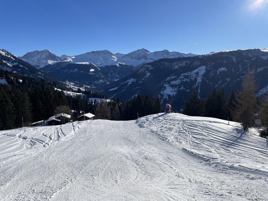 Im Gebiet habe ich zwei Schneeerzeuger gesehen, beide auf der Talabfahrt.