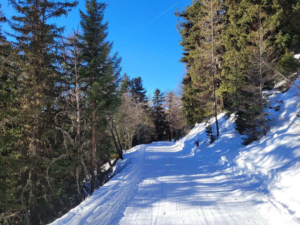 Weg zurück durch den Wald. So benötigt man den Ombrintze nicht.