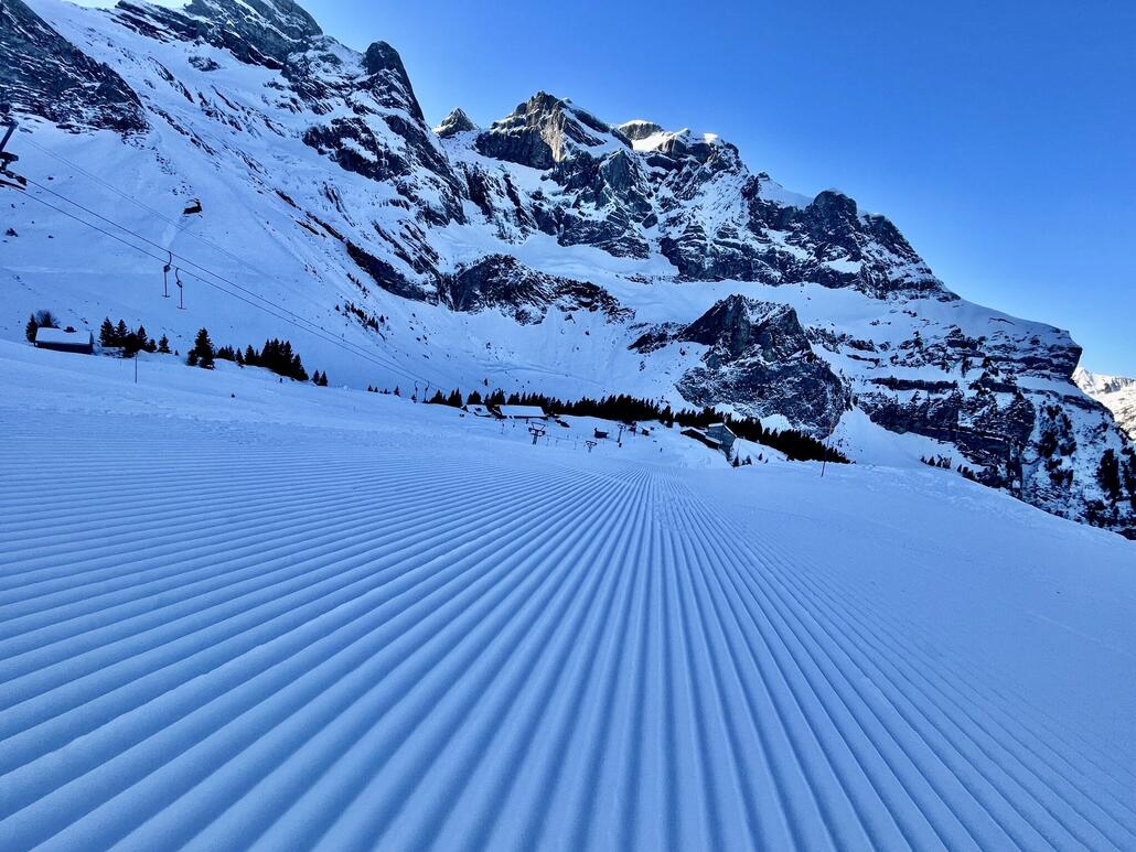 Sehr schön präpariert