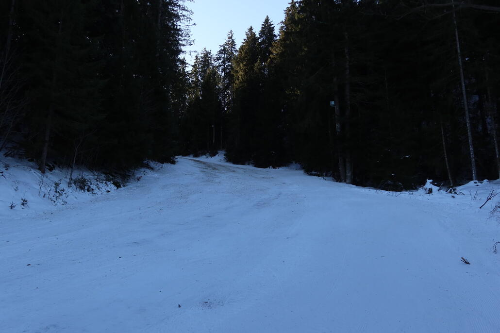 Sehr viele Steine und es sieht auf dem Foto gefühlt noch besser aus als es war...