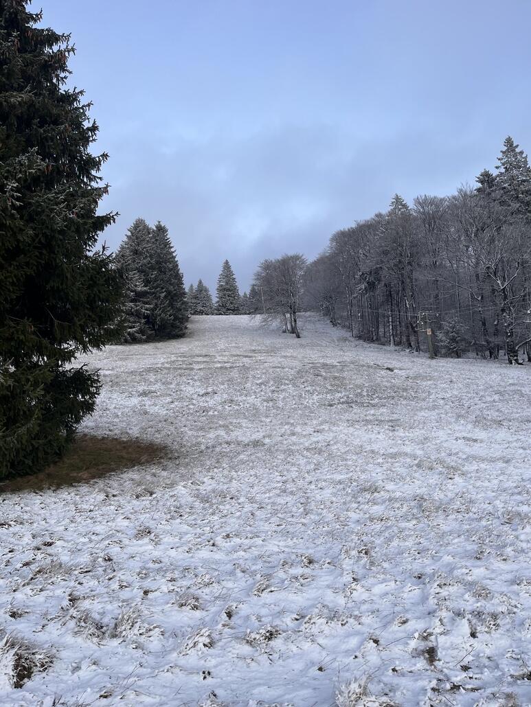 Ich meine mich zu erinnern, dass sie hier oben nicht mähen dürfen, daher das lange Gestrüpp