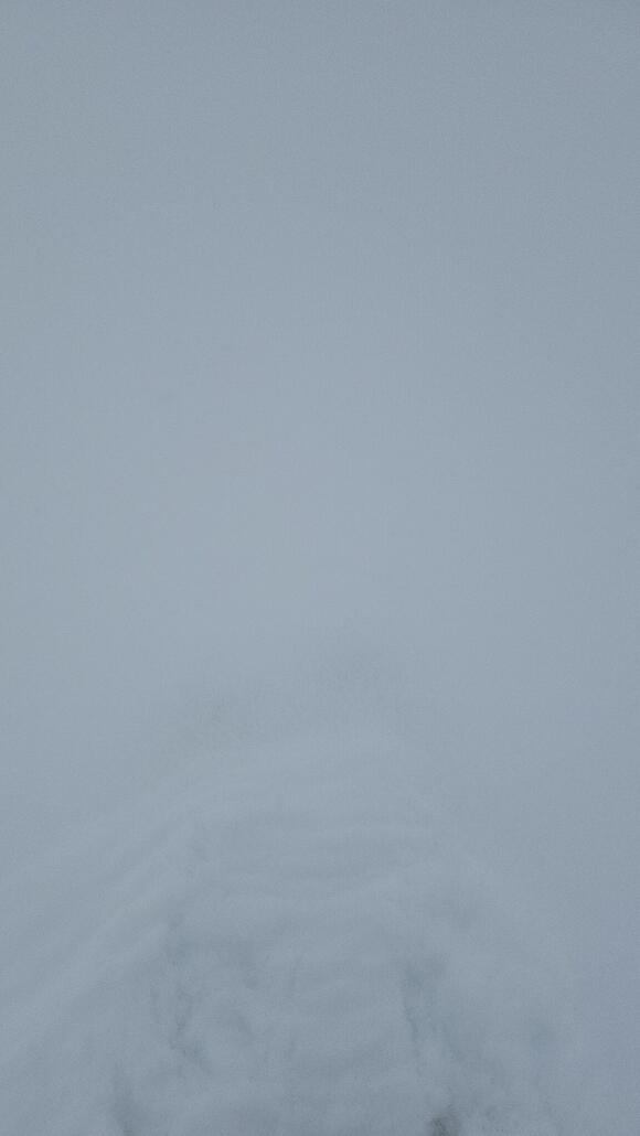 Blick auf meine Ski auf der Piste 4 heute morgen