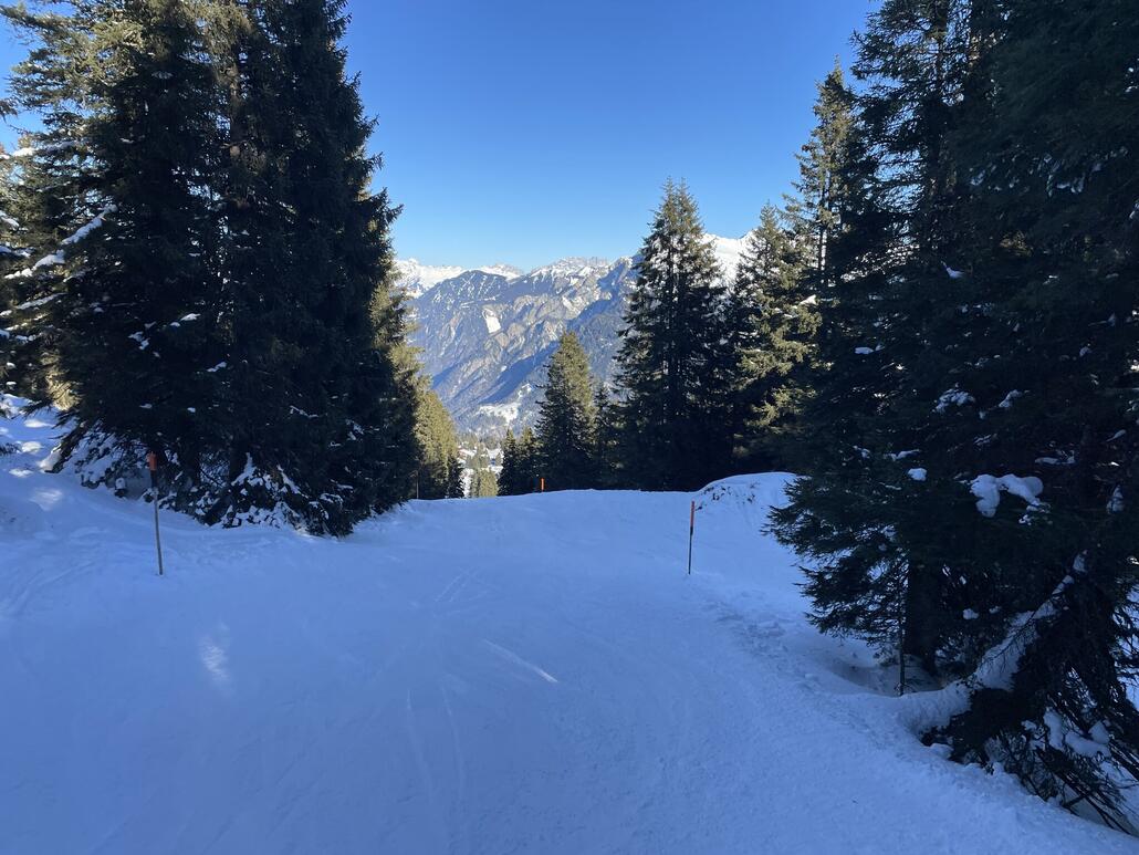 Am Ende verläuft die Schwarze im Wald.