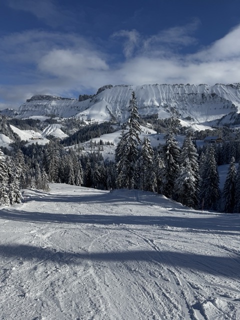 Mittel (IMG_3117).jpeg