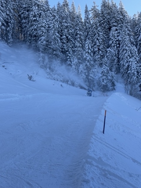 Mittel (IMG_3155).jpeg