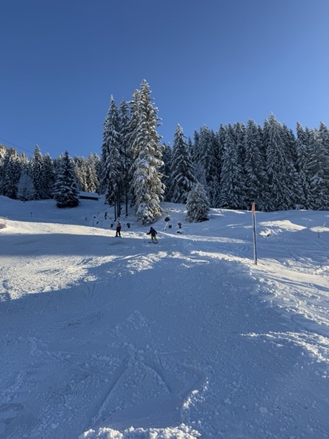 Mittel (IMG_3244).jpeg