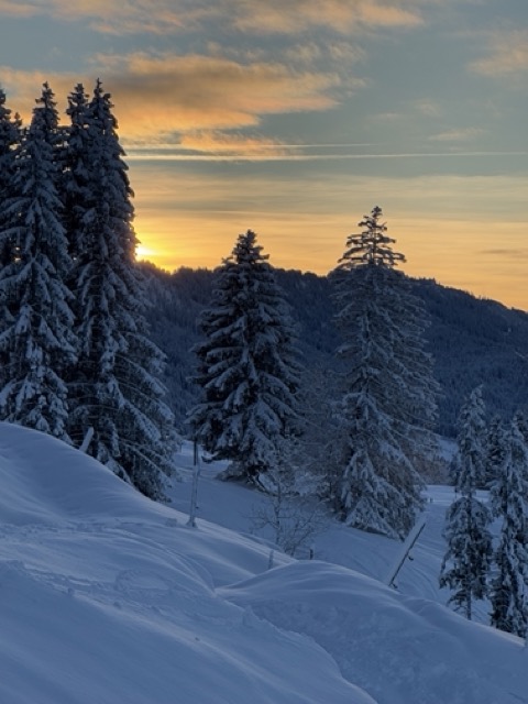 Mittel (IMG_3271).jpeg