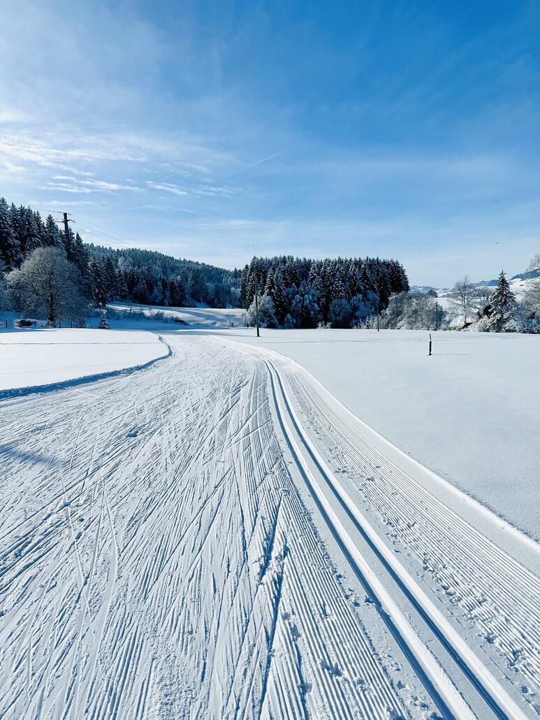 Gestartet sind wir in Gais am Loipenzentrum. Der Parkplatz war maximal gefüllt.