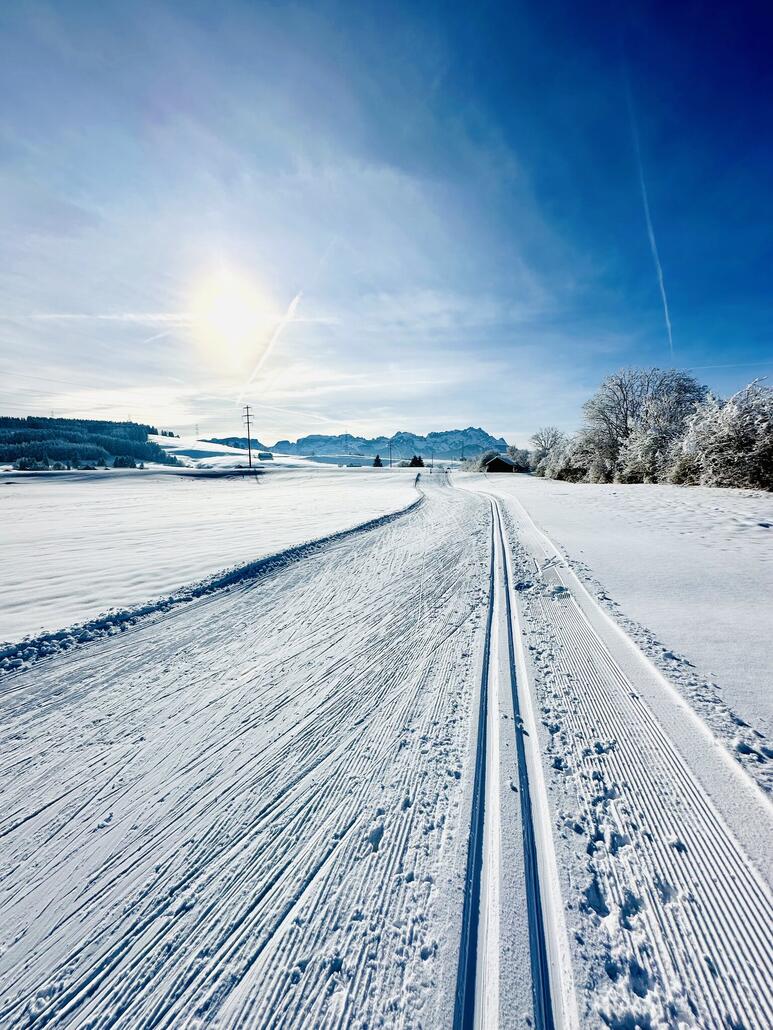 Richtung Sammelplatz hat man einen tollen Blick auf den Säntis.