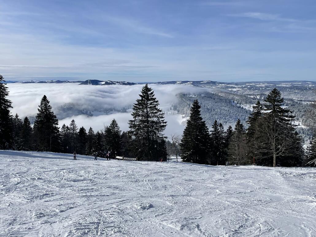 Gewisse Blaue blieben gut bis zum Schluss