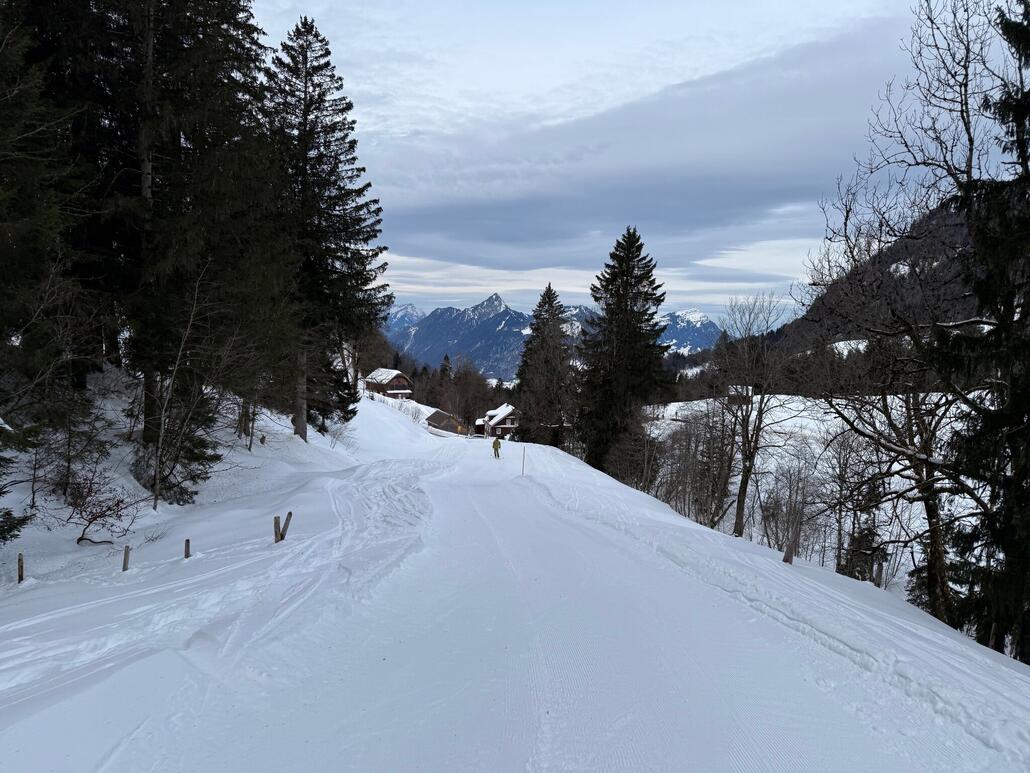 Genussvolle Abfahrt nach kurzen Aufstieg zum Handgruobi.